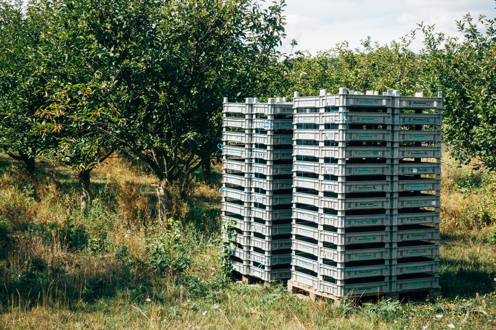 Bins plásticos grises en huerto